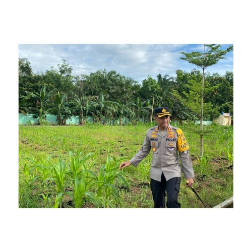 Black Retro Emblem Tree & Root Logo_20250410_125213_0000